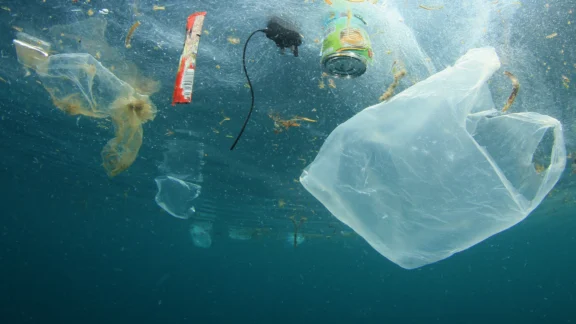 Klimawandel hautnah erleben – die WDR Klima App im Unterricht Plastiktüten und Müll im Ozean