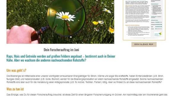 Experiment: Wo steckt nur meine Biomasse? Arbeitsblatt-Biomasse