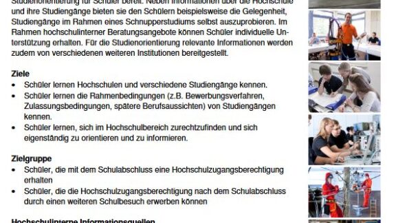 Arbeitsblatt: Studienorientierung Berufsorientierung