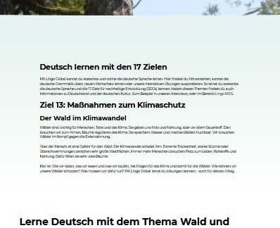 Linktipp: Lingo Global Lingo