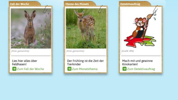 Linktipp: Naturdedektive Naturdedektive