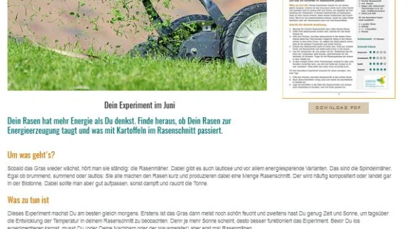 Experiment: Mach dem Rasen Dampf Rasen